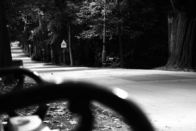 Shadow of trees on road