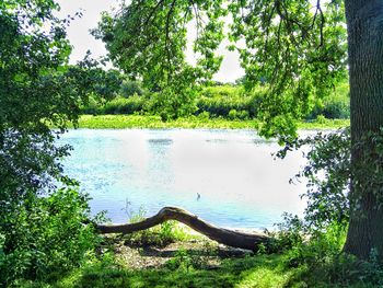 Scenic view of lake