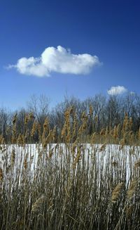 Scenic view of lake against cloudy sky