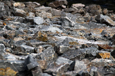 Close-up of rocks