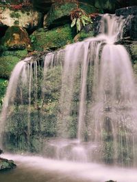 Waterfall in forest