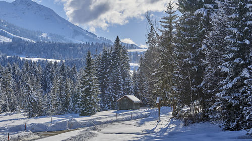 Snow covered land against sky