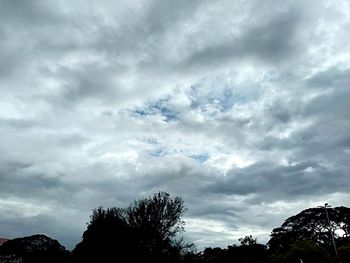 Low angle view of silhouette trees against dramatic sky