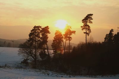 Trees on landscape against sky during sunset