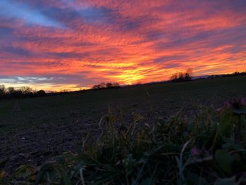 Scenic view of field against orange sky