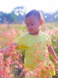 Cute girl with flowers on field