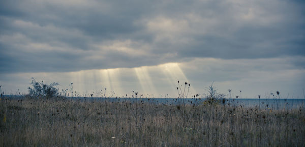 Panoramic shot of grassy field in front of sea against cloudy sky