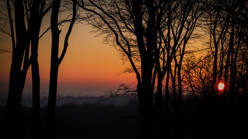 Silhouette bare trees on landscape against sky at sunset