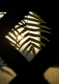 Low angle view of illuminated lamp in darkroom