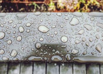 Close-up of water drops on leaf