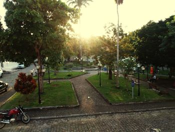 Trees in park against sky