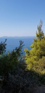 Scenic view of sea against clear blue sky