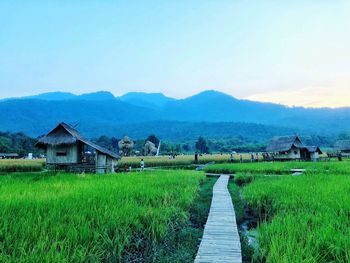 Scenic view of agricultural field by houses and mountains against sky