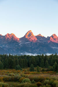 Scenic view of landscape against clear sky