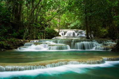 Scenic view of waterfall in forest