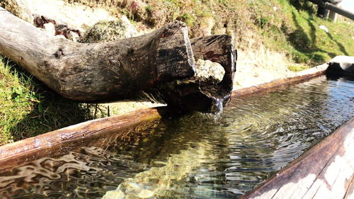 Close-up of wooden post in lake