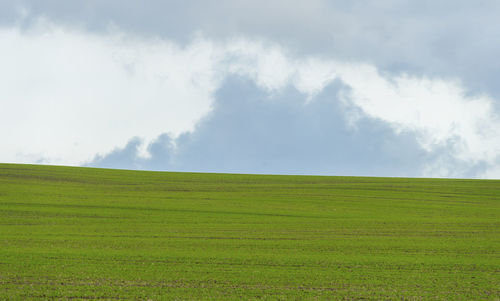 Scenic view of field against sky