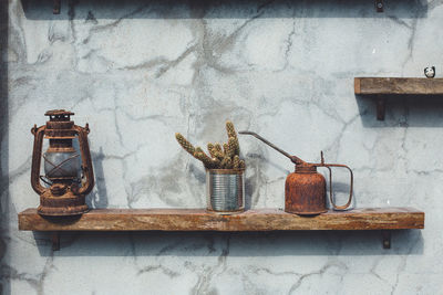 Cactus with vintage objects on shelf against wall