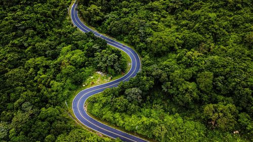 High angle view of road amidst trees in forest