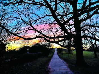 Walkway along trees at sunset