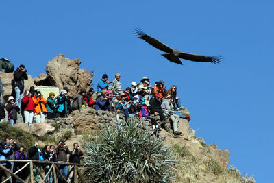 Low angle view of people flying against clear blue sky