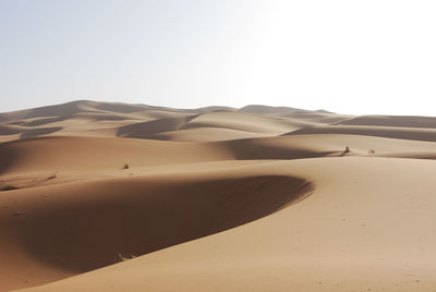 Sand dunes in desert against clear sky
