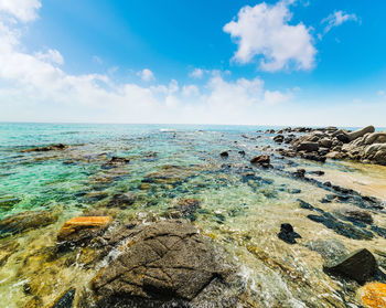 Scenic view of sea against sky