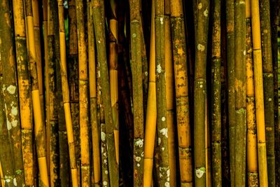 Full frame shot of wood