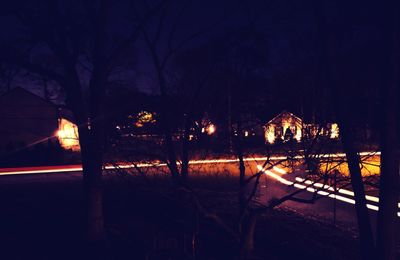 Silhouette of trees and illuminated street at night