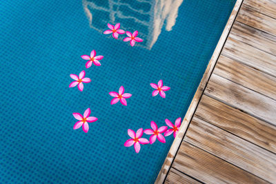 High angle view of pink umbrella on wood