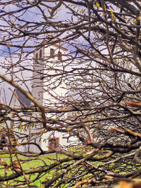 Low angle view of bare tree