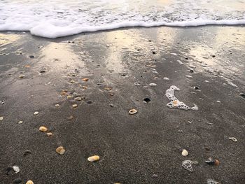 High angle view of sand at beach