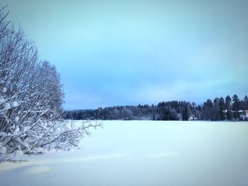 Trees on snow covered landscape against sky