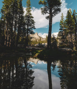 Reflection of trees in lake against sky