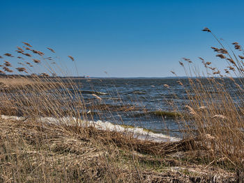Scenic view of sea against clear sky