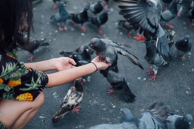 Woman with pigeons on road