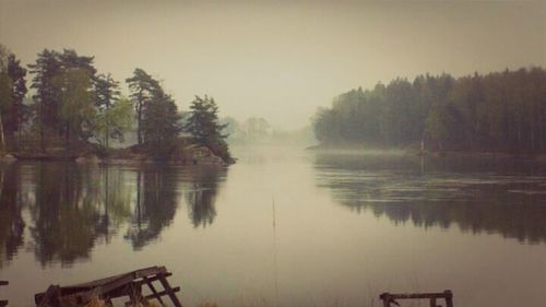 Reflection of trees in calm lake