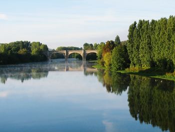 Reflection of trees in river