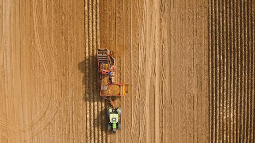 High angle view of people working in farm