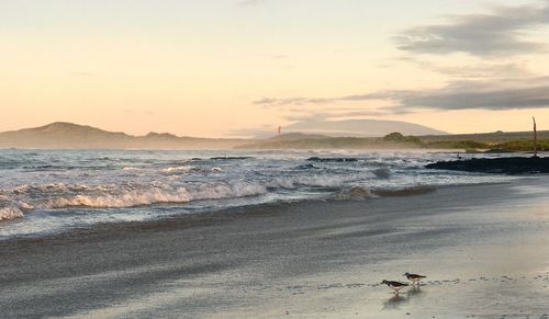 Scenic view of beach against sky during sunset