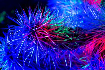 Close-up of firework display at night