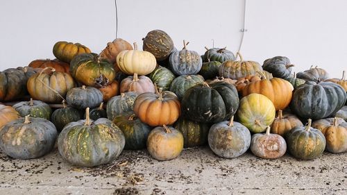 Close-up of pumpkins