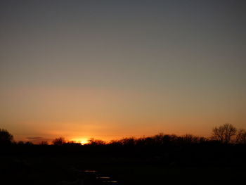 Silhouette trees against clear sky during sunset