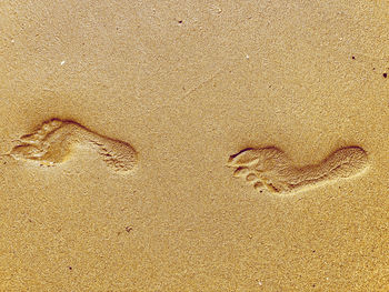Foot prints in the sand 