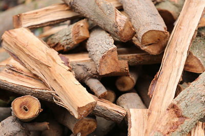 Stack of logs in forest