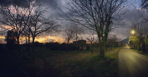 Bare trees on field against sky at dusk