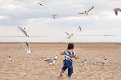 Baby boy in striped sailor t-shirt running on the sandy beach with seagulls near the sea in summer