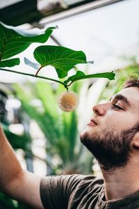 Close-up of man looking at flower on plant