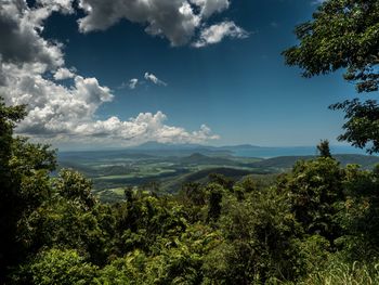 Scenic view of forest against sky