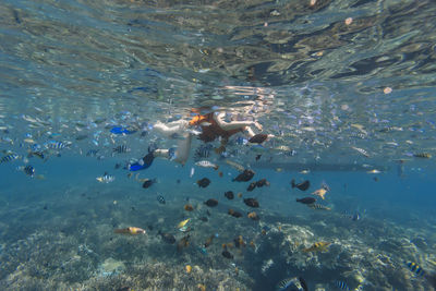 Woman snorkeling in sea